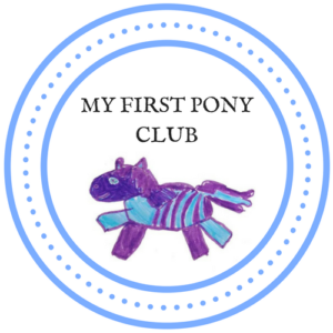 My first Pony Level 1 Handler Test