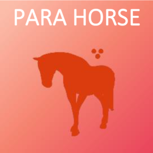 Championship Para Horses