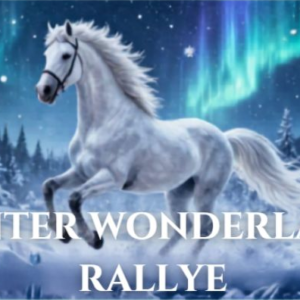 Winter Wonderland Rallye