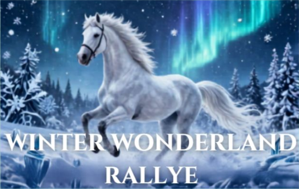 Winter Wonderland Rallye